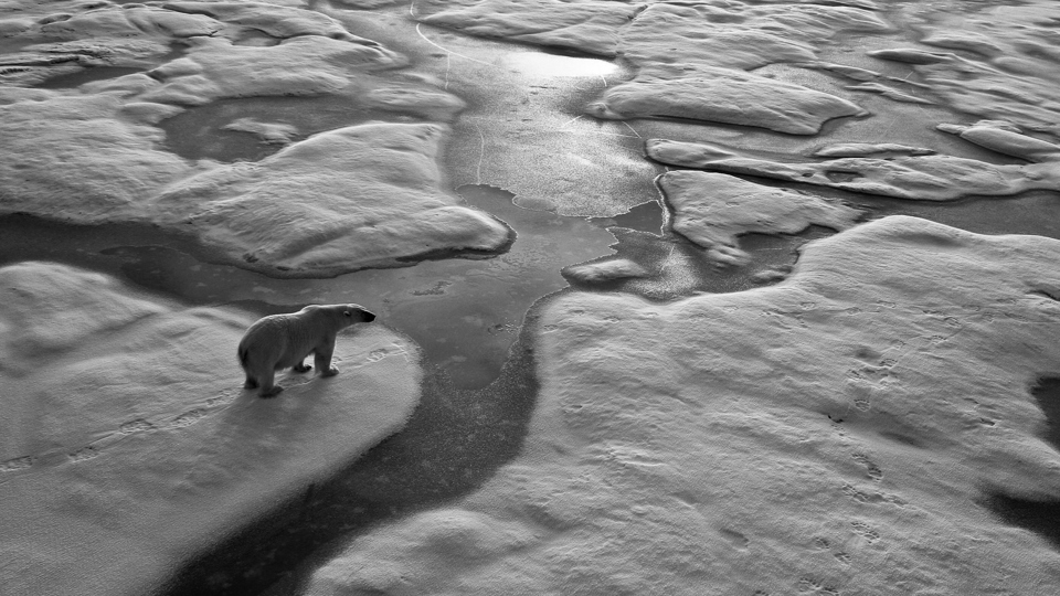 A hot summer for climate due diligence