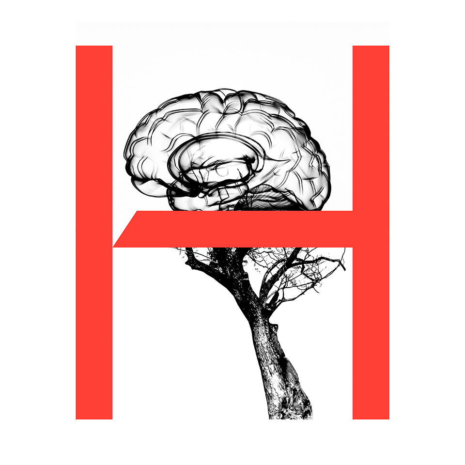 hausfeld_imagery_warmred_rgb_brain-tree_t1_960x960.jpg